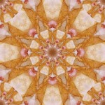 Day 21: Faded Rose Tile