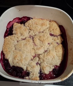 Day 217: Mixed Berry Cobbler