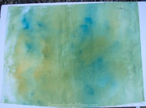 Day 216: Fabric Dye Experiment