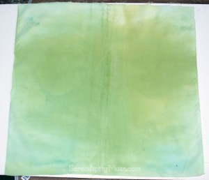 Day 216: Fabric Dye Experiment 2