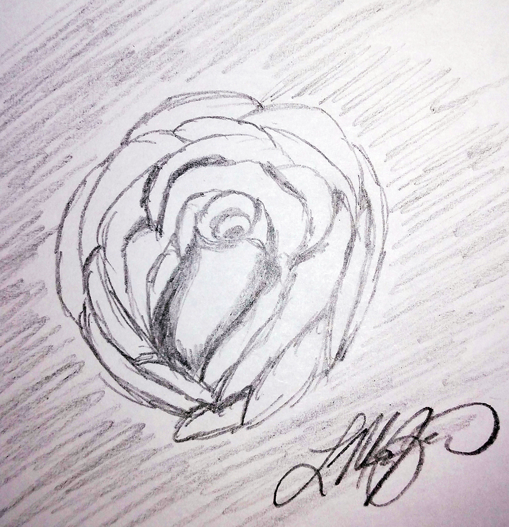 "A Rose By Any Other Name", pencil