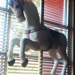 Carousel Horse